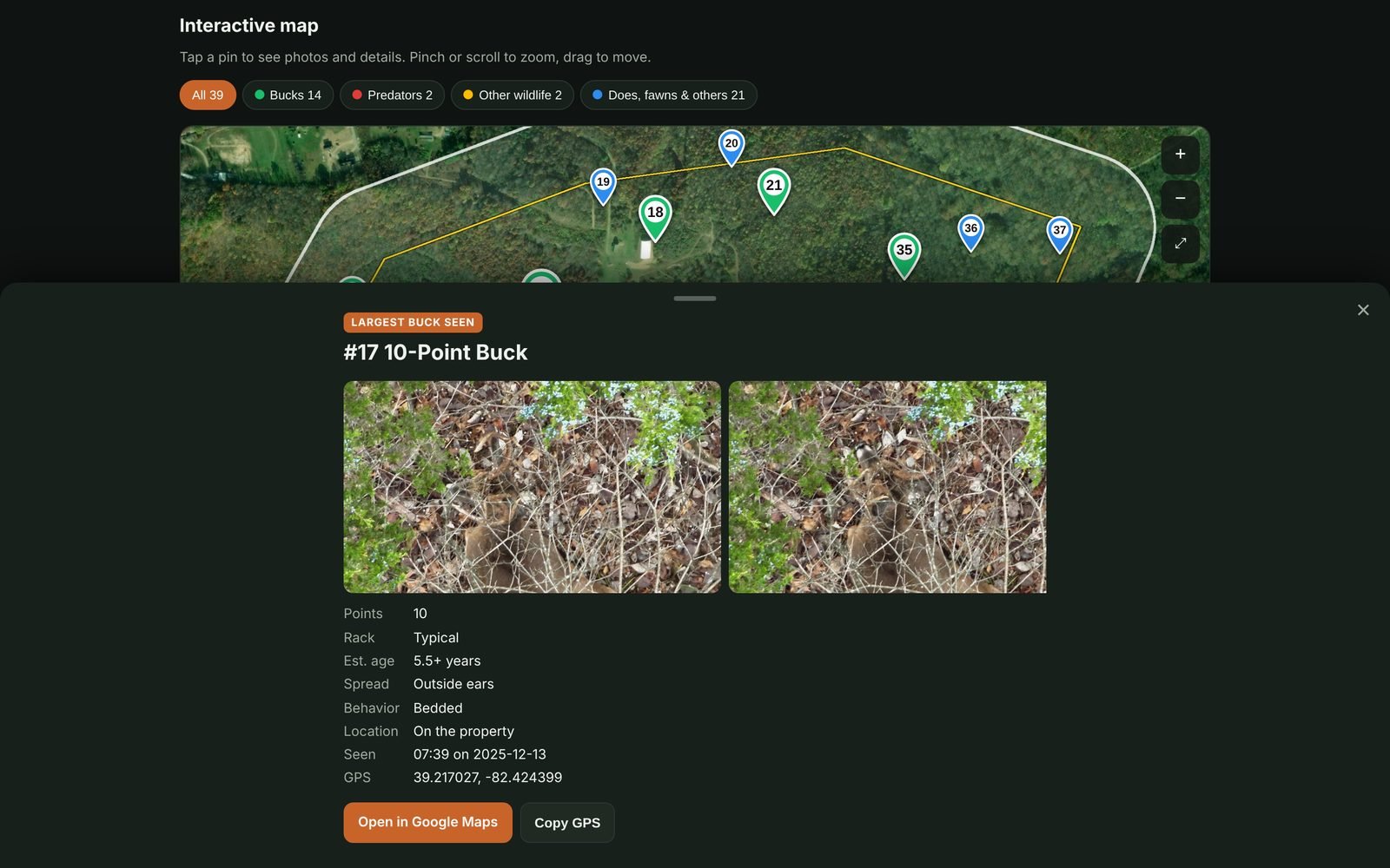Interactive deer map with numbered buck, doe and predator pins inside the property line and the largest buck opened