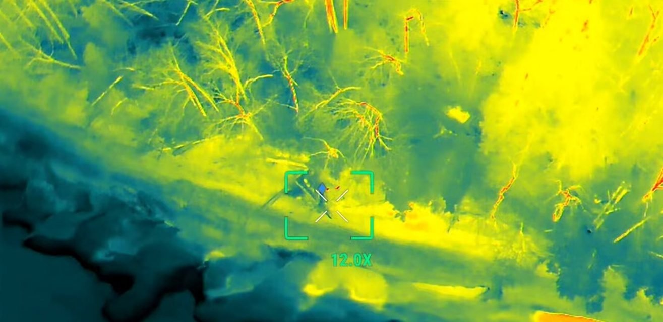 Thermal drone view during a real search: a warm animal inside the target box at the edge of a field